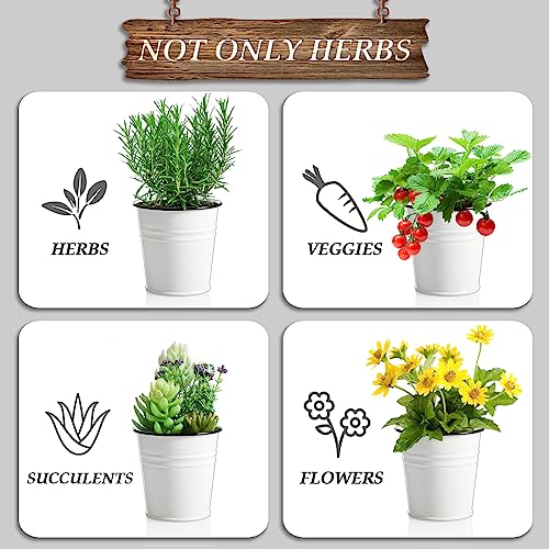 Dayyet 0017PW Farmhouse Herb Garden Planter Indoor Window Planter Set thumb #3