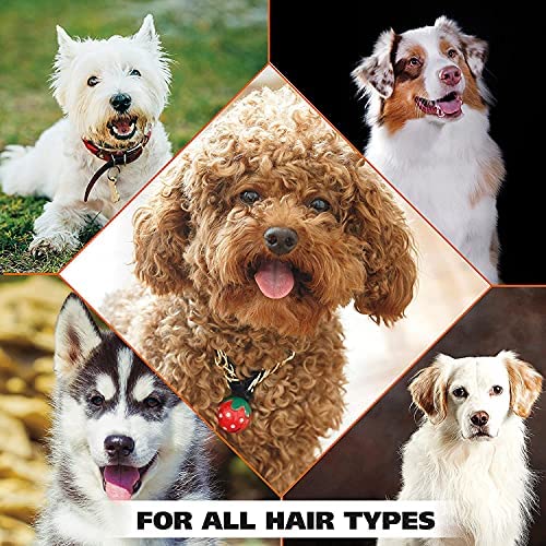 HANK Pets Dog Shampoo with Neem Aloe Vera Vitamin E - Anti Dandruff Tick Flea Control - Itchy Skin Relief - Tick & Flea Control - Deodorizing Pet Grooming Wash - Soft Shiny Coat Care - 200ml 3