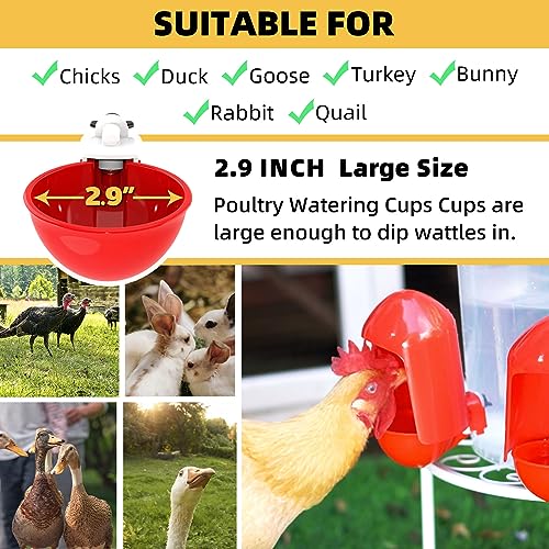 Automatic Chicken Waterer Cups (5 Pack), 2.9'' Large Poultry Waterer Cups with Anti-Dirt Cover, Suitable for Chicks, Quail, Duck, Goose, Turkey, Rabbit and Bunny - (Red)
