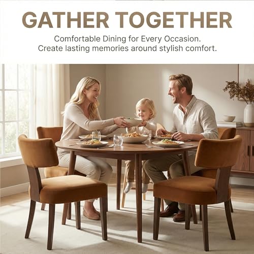 Image of HNY Mid Century Modern Dining Chairs, Velvet Fabric Farmhouse Upholstered and Curved Backrest Kitchen Accent Chairs Set of 2, with Hardwood Frame, Burnt Caramel