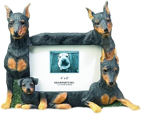 Miniature Pinscher (Min Pin) Dog 4'' x 6'' Photo Frame