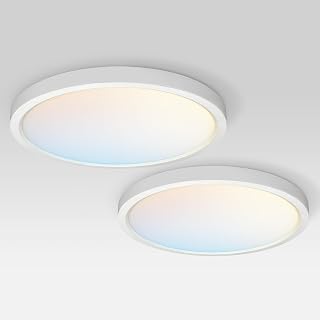 ASD LED 15" Round Flush Mount Ceiling Light Fixture, Low Profile Surface Lighting | 5CCT, Dimmable, Ultra-Thin, ETL Listed | 28W 2300LM 2700-6000K 100-277V | Kitchen, Hallway Lamp | White, 2 Pack