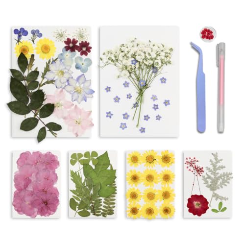95PCS Real Natural Dried Pressed Flowers and Leaves Craft Kit with Tweezers & Glue Pen for Resin, Scrapbooking, Card Making & DIY Crafts