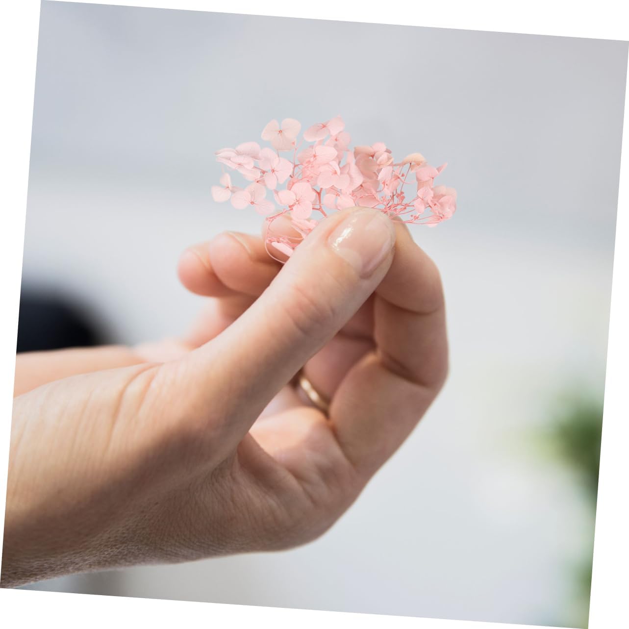 PRETYZOOM 1Pack Pack of Natural Pink Dried Hydrangea for DIY Crafts Nail Art Supplies and Floral Decor for Weddings Birthdays and Creative Projects