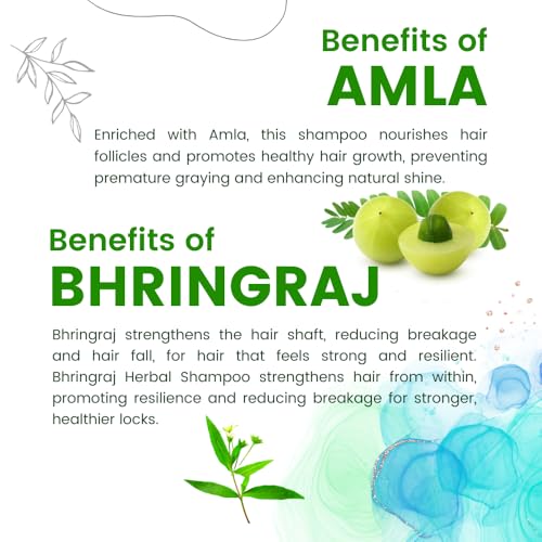 Image of KHADI Hair Fortifying Shampoo with Neem, Aloe Vera, Amla, and Bhringraj | Natural Anti Hair Fall & Scalp Nourishment Formula | 420 ML (Pack of 2)