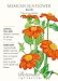 Mexican Sunflower Torch Seeds - 500 mg - Annual