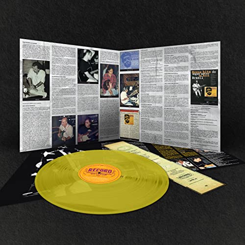 Raul Seixas - Documento Lp 180 G Colorido