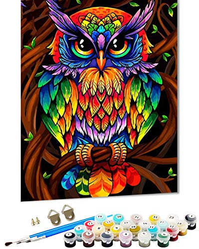 Peinture par numéros,Paint by Numbers for Adults,Kits de Peinture par numéro,kit de peinture acrylique pour adultes ou débutants,Diy peinture à l'huile par le nombre de kit,40 x 50 cm(chouette) Cover