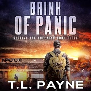 Brink of Panic Audiolibro Por T. L. Payne arte de portada