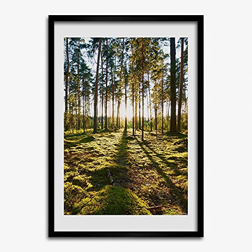Tableau forêt de pins sous cadre moderne 50x70 pour salon chaleureux