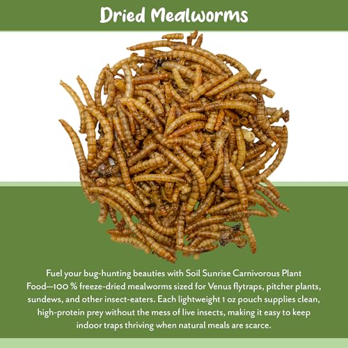 Alimento para plantas carnívoras Soil Sunrise, 28 g miniatura 5