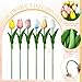 Riceshoot 21 Pcs Fake Tulips Artificial Flowers 13.5 Inch Easter Spring Faux Tulips for Valentine Wedding Bouquet Arrangement Home Table Centerpiece Decor(Vibrant Color)