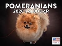 Vista 51 de Calendario de cachorro Golden Retriever 2027 mensual de pared de 12 meses