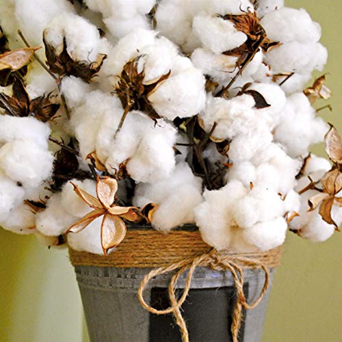 Bolas de algodón naturales Aisamco de 30 piezas para decoración rústica de jarrones en el hogar 8