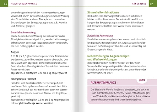 Grüne Hausapotheke für Hunde. Kompakt-Ratgeber: Heimische Heilpflanzen sicher anwenden