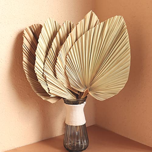 Dried Palm Leaves