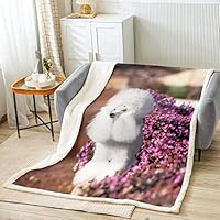 Coperta In Pile Koala 3D 150x150 Cm – Morbida Microfibra Per Bambini, Ragazzi, Divano E Letto