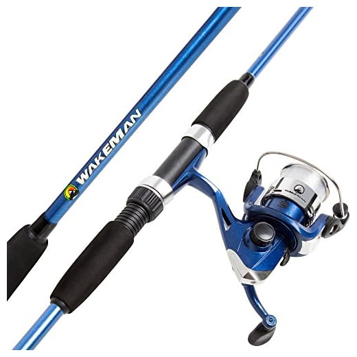 Fishing Rod and Reel Combo, Spinning Reel, Fishing Gear for Bass and Trout Fishing, Great for Kids, Blue - Swarm Series by Wakeman