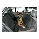 Haushalt International