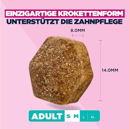 Eukanuba Hundefutter mit Lamm & Reis für kleine & mittelgroße Rassen, 3 kg