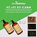 Urban Hydration Honey Health and Repair Shampoo and Conditioner Duo Pack | Sulfate, Paraben and Dye Free, Cleanses, Moisturizes and Repairs For Healthy and Shiny Hair, All Hair Types, 16.9 Fl Ounces
