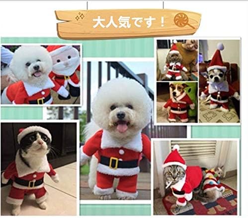 Web限定 ビーグル犬サンタ帽 クリスマス トレーナー 公式 Centrodeladultomayor Com Uy