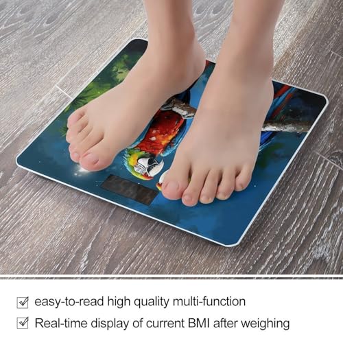 Balanza de baño digital con pantalla LCD grande miniatura 5