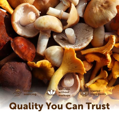 Micro Ingredients Organic Mega Mushroom Powder, 10-in-1 Mushroom Blend, 5oz - image 6