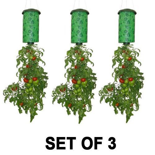 Set of 3 Tomato or Vegetable Planters - Upside Down Topsy Turvy Planter