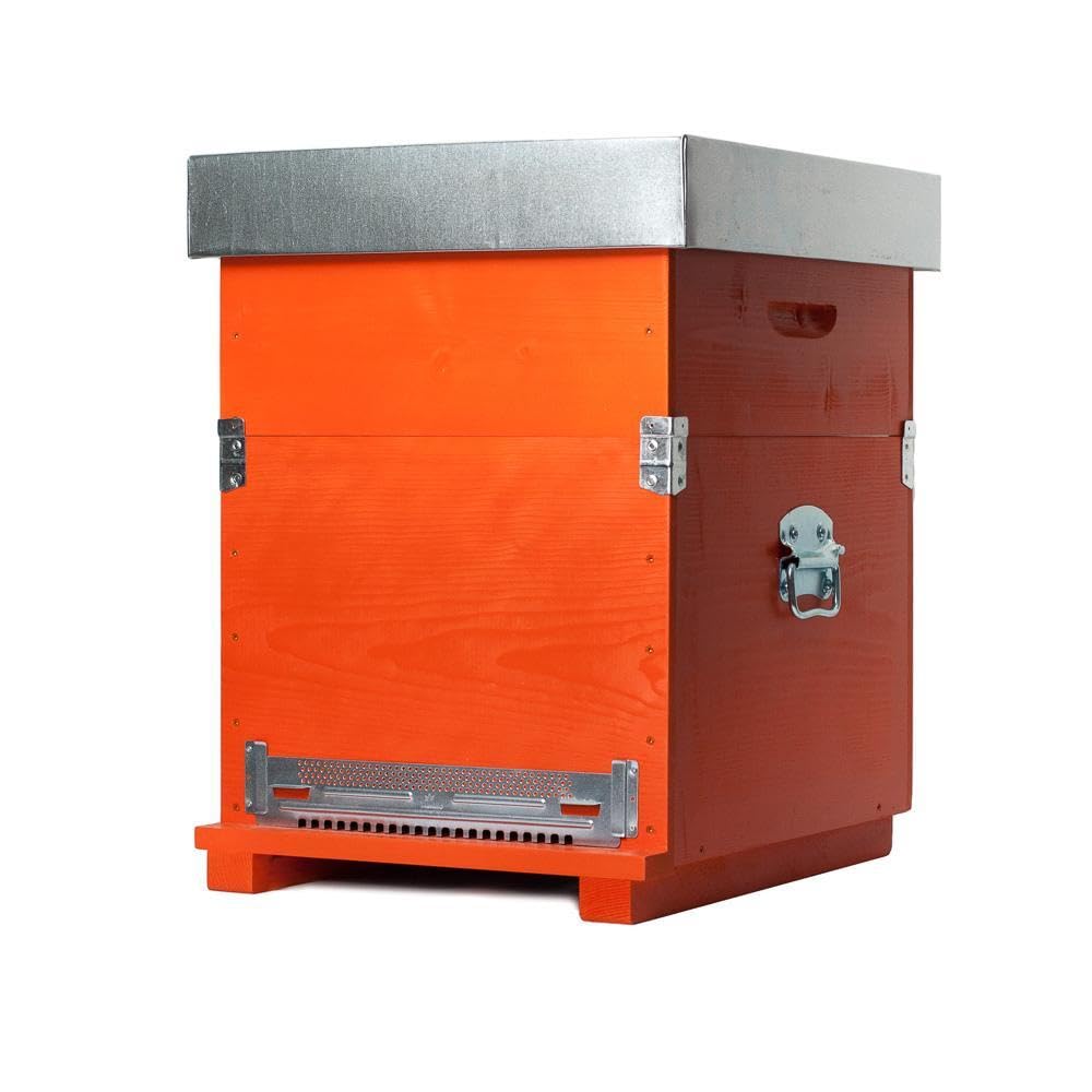 Arnia Standard Da 10 Favi In Legno Italiano - Per Apicoltura - Foto 9