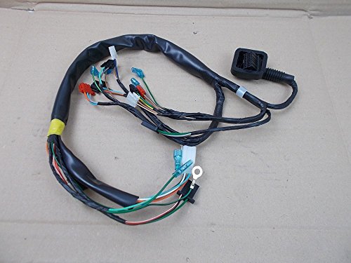 Preisvergleich Produktbild Kabelbaum für Daelim Otello 125 FI