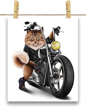 Amazon | FOX REPUBLIC 【三毛猫 オレンジ猫 ねこ バイク バイカー