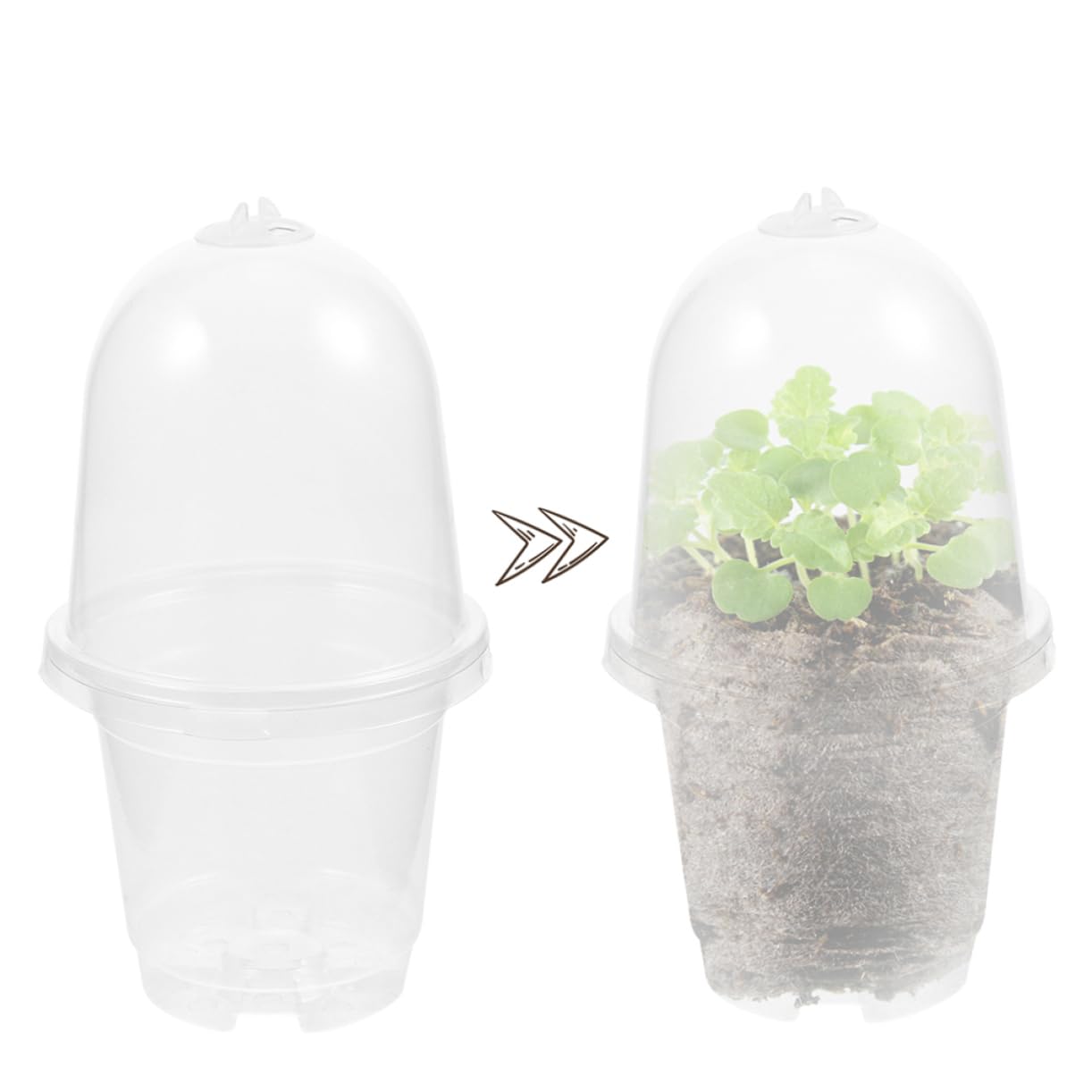 Abaodam 5 Ensembles Pot de Semis Transparent Couvercle de Pots Plastique pour Plantes Potager Extérieur Durable Réutilisable pour Culture de Semences