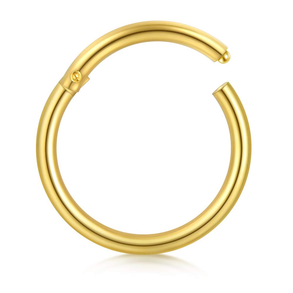 AZARIO LONDONAnillo de nariz de oro amarillo de 14 quilates, aretes de oro macizo para cartílago, anillo segmentado con bisagras, 18 g/9 mm de diámetro, Oro amarillo