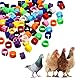 Widream 200 Pcs Vogelringe Taubenringe, Tauben Fußringe, Tauben Klemmringe, Vogel Identifizierung Ring, für Vogel, Papagei, Taube, Wachtel, Küken Vögel Identifikation Fußring (8 mm)