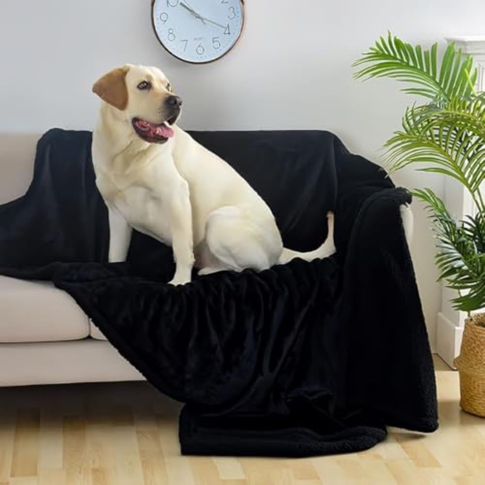 Couverture réversible imperméable pour chien en polaire Sherpa pour animal domestique, housse de protection lavable et antidérapante, 145 x 165 cm