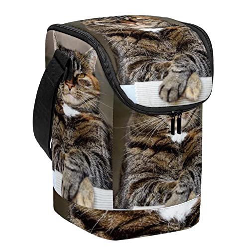Lonchera ligera y pequeña con estampado de gato lavable y muy resistente 2