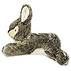 Fluff-Tuff--Walter-Wabbit-Plush-Dog-Toy Walter Wabbit Plush Dog Toy