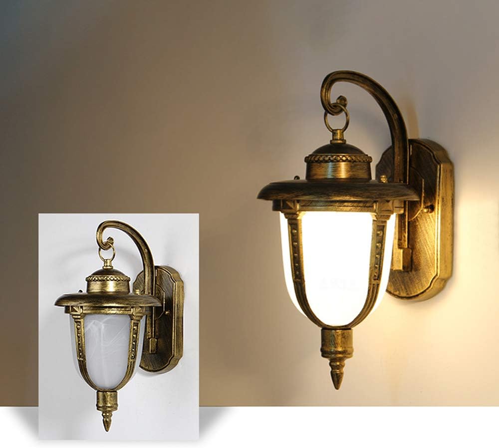 阪神タイガース OB伊藤隼太さん 直筆サイン色紙(保護ファイル付) 2025