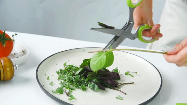 Amazon.com: SASACIA Herb Scissors with 5 Blades & Cleaning Kit