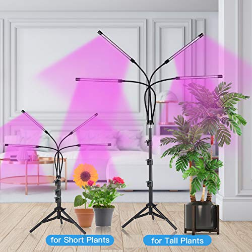 Gooingtop Grow Lights For Indoor Plant Growing Lamp, Free Standing Plant Lamp With Red Blue Led For Small Mini Succulent Seedling Growth,Mixed Color Spectrum With Timer 3 9 12Hrs #TOP1