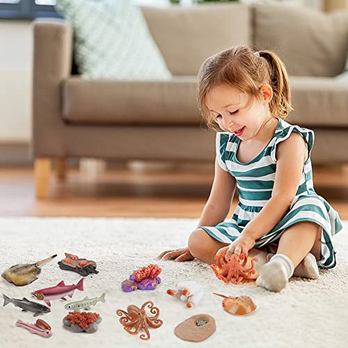 URFEDA Life Cycle Stages Figures Animal Growth Cycle Model Set Science ...