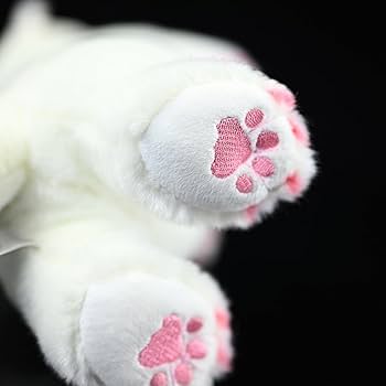 51ujL2cgBLL._UF350,350_QL80_.jpg