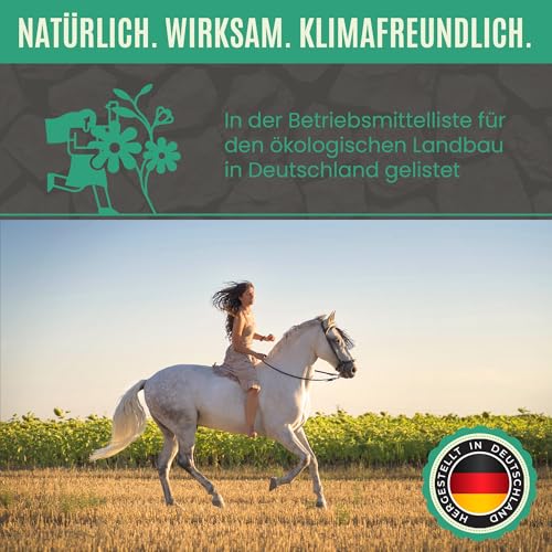 C44-Zittau Premium Futterkohle 0-3 mm für Pferde – 100% natürlicher Futtermittelzusatz für Verdauung, Stallhygiene, Geruchsbindung, Güllequalität & Darmflora – Made in Germany (10L)