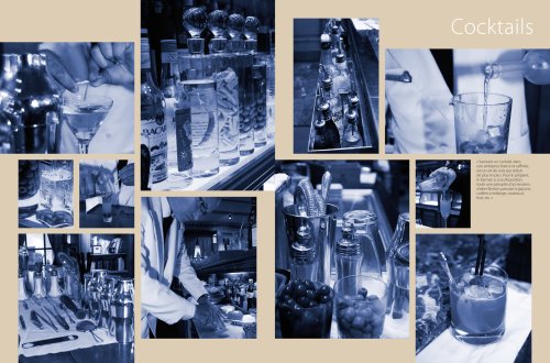 Le Grand Larousse Gastronomique