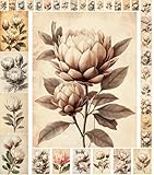 Decoupage Paper Pack (35...