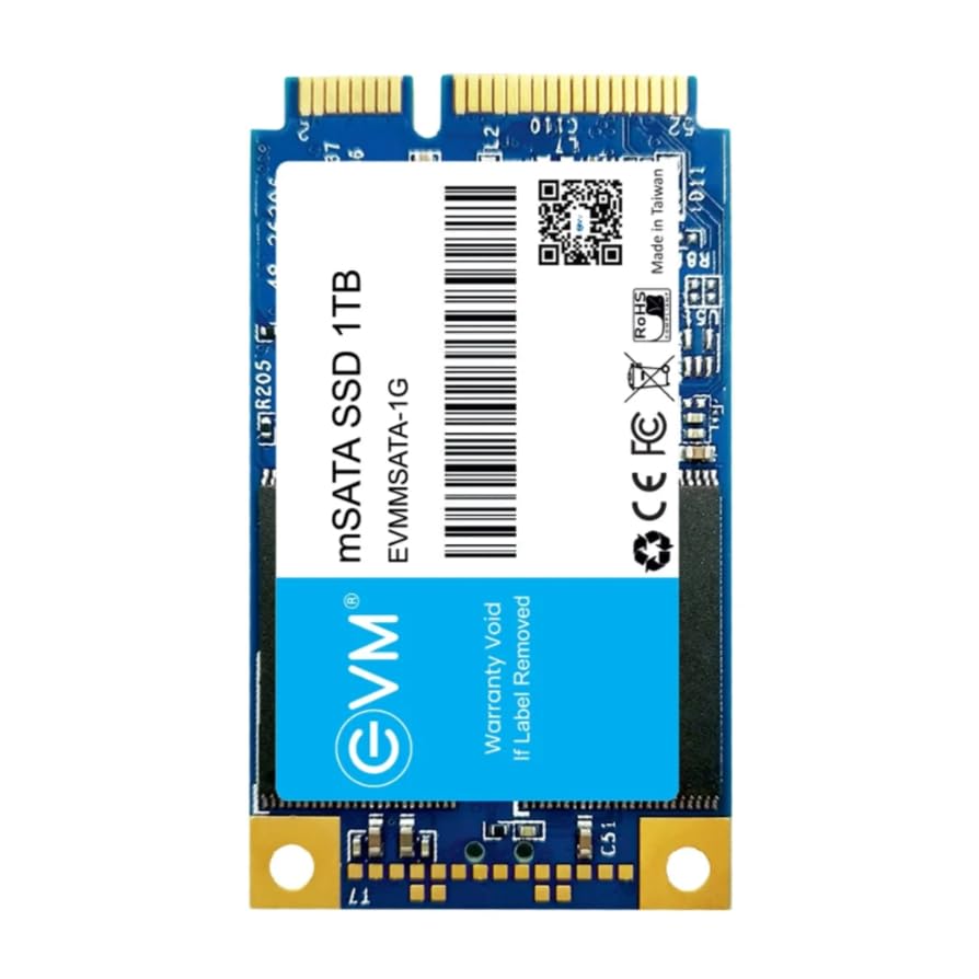 EVM 1TB mSATA Internal SSD