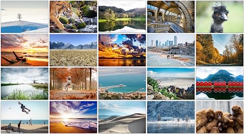 Bear and Bee 100 Landschaftspostkarten mit 100 verschiedenen Motiven Postkarten Landschaften (100 Fotokarten)