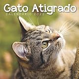 gato atigrado naranja mercadolibre  Gato Atigrado Calendario 2022: Calendario 12 meses 2022 - 8.5 x 8.5 in cuando está cerrado y 8.5 x 17.0 in abierto.- Organización y Planificación - Perfecto como regalos, suministros de oficina
