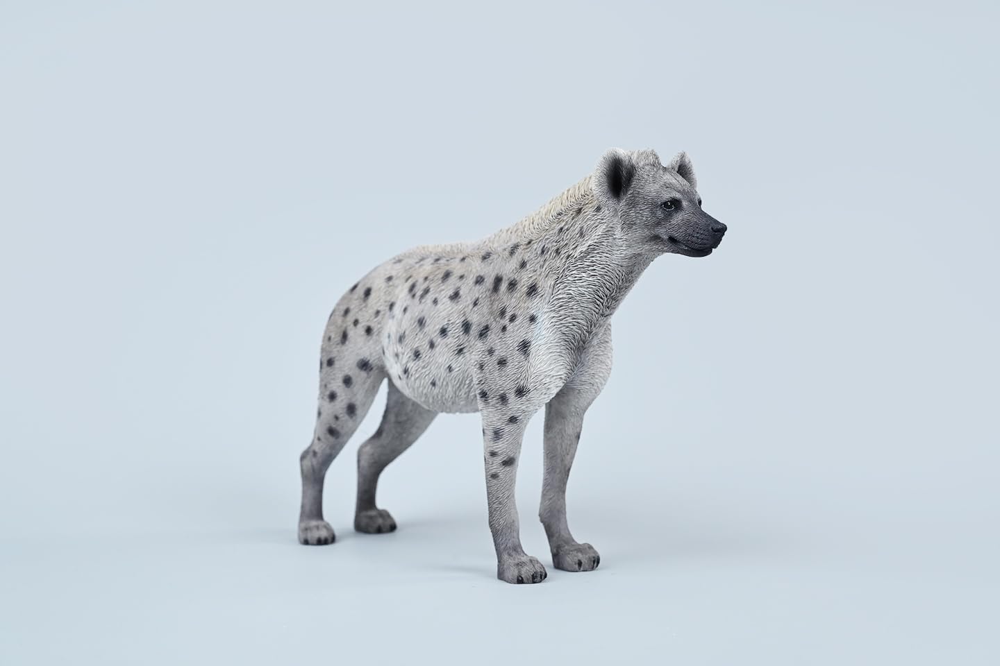 1:6 Scale African Hyena Model Hyaenidae Animal Figure Dog Collection Gift (JXK215A1)